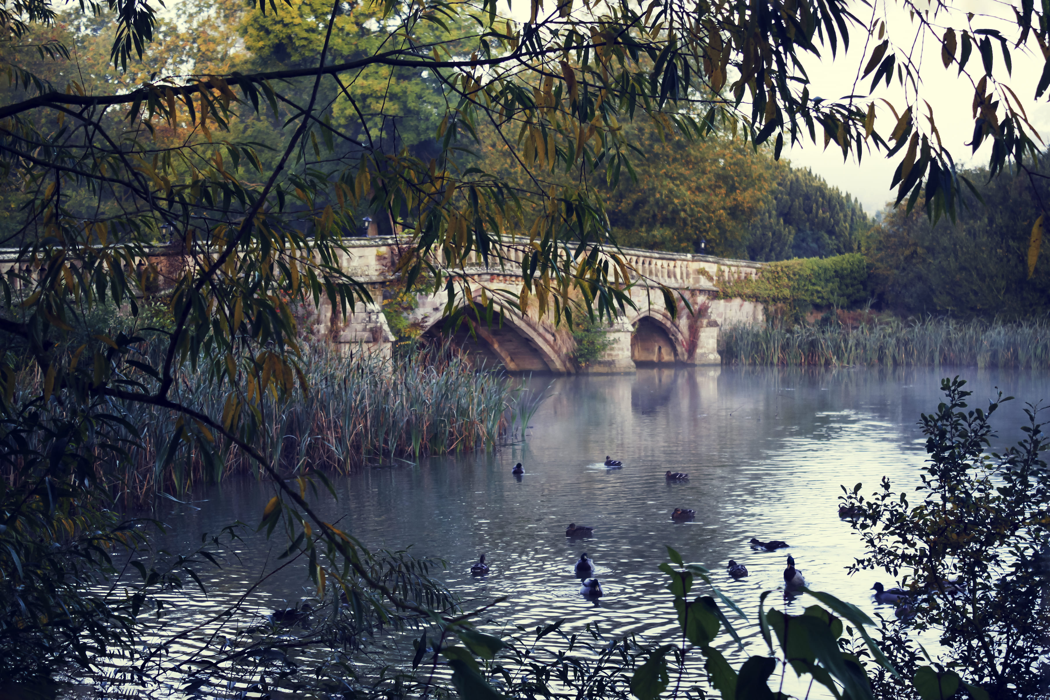 Lake